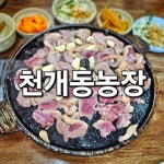 천개동농장