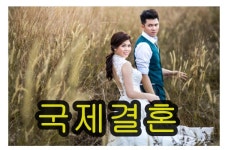 하이코리아 신동화행정사사무소