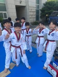 용인대금메달태권도
