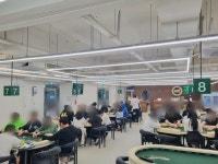 야자수 광교