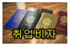 하이코리아 신동화행정사사무소