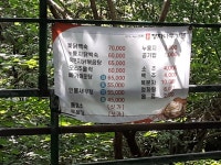 회문산정자나무가든