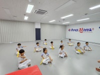 국가대표 진 태권도