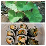 김밥마루