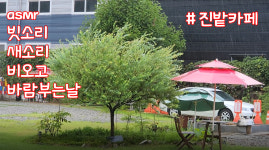 힐링카페시나브로