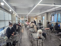 서산애견미용학원