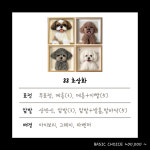 치베디아모