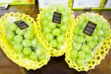 별무리포도농장