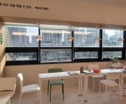 책나무 대치2관점