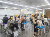 서산애견미용학원
