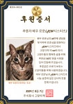 고양이역