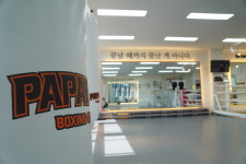 파파복스 복싱클럽