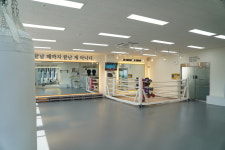 파파복스 복싱클럽