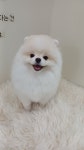 멍