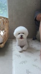 름자펫살롱