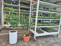 새서울종묘농약사