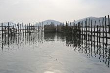 지족어촌체험마을