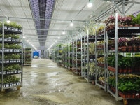 제이화훼유통센터