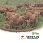 섬진강협동조합