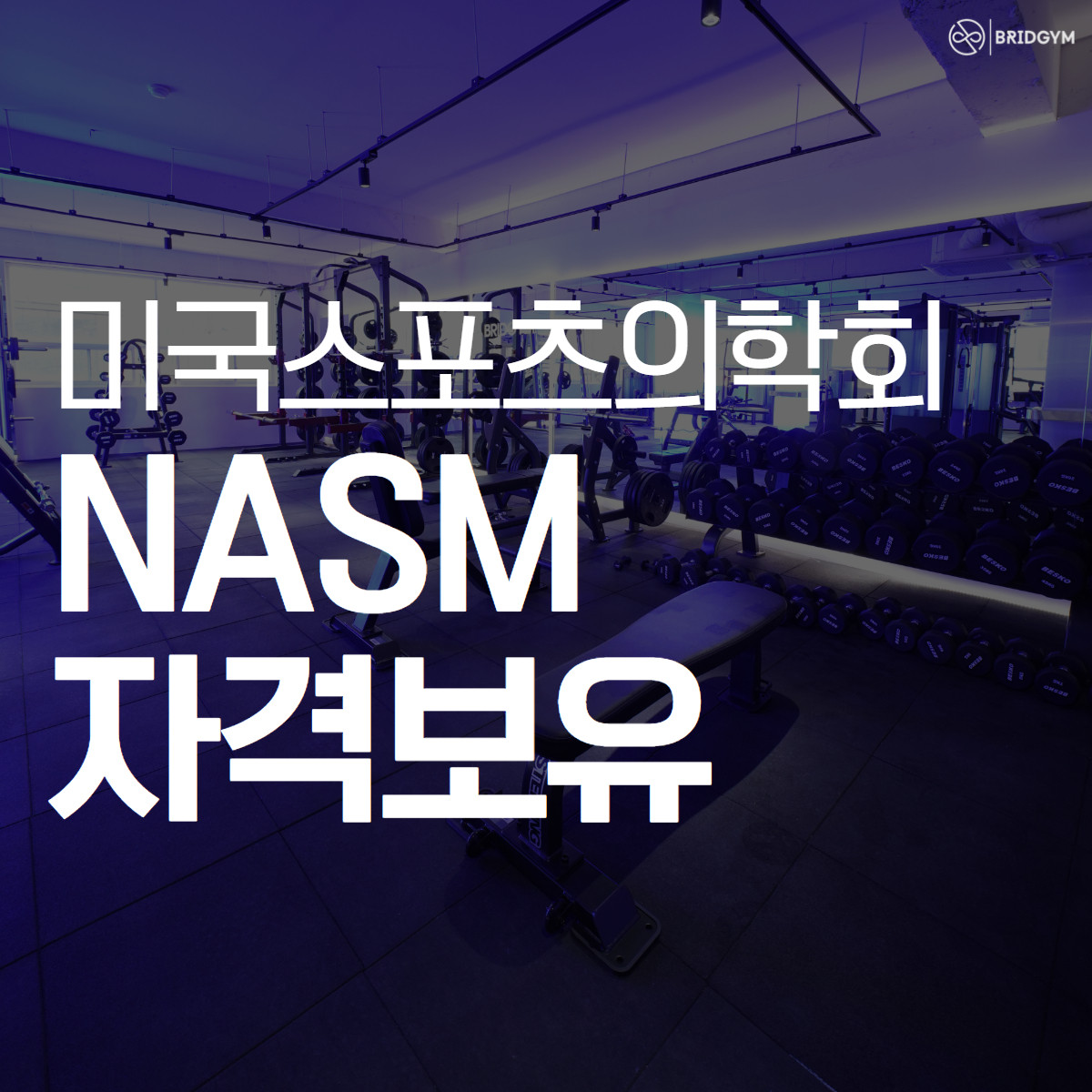 브릿짐 이미지