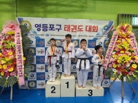 용인대영웅태권도장