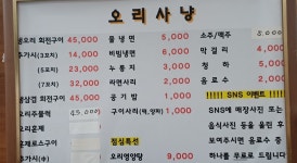 오리사냥