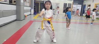 한국체대힐캐슬태권도