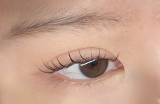 속눈썹공주 정관점