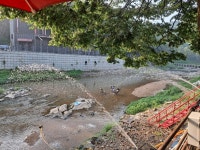 일영 미루나무집 & 민박