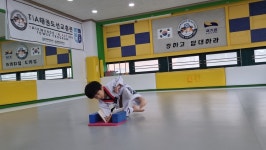 TIA태권도