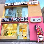 부산고양이미용&호텔 무냥무냥 대연점