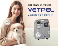 BAE인텔리전스
