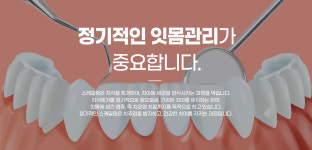 부평백세플란트치과의원