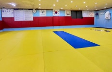용인대유도