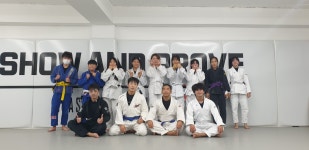 비스트 주짓수