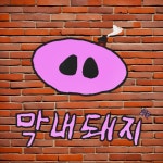 막내돼지