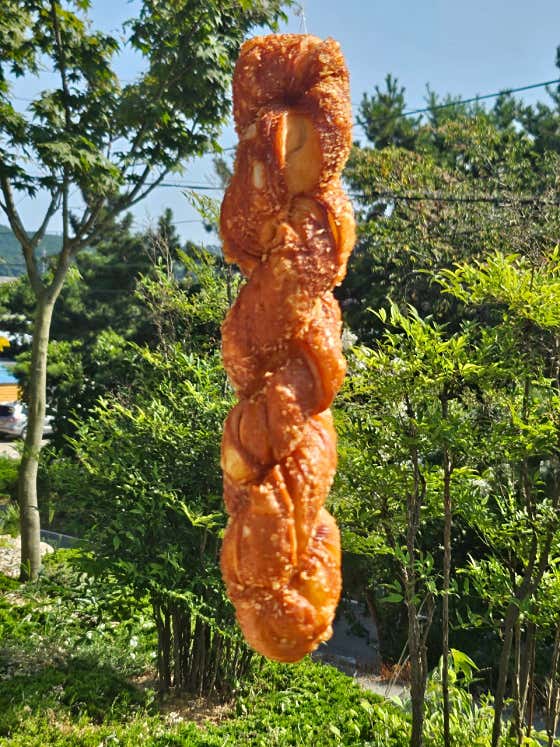 해미읍성왕꽈배기 공주반포점 사진