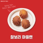 메고지고 제천강제동점