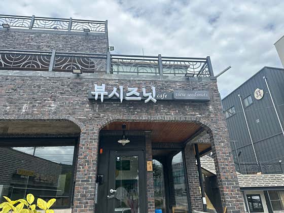 뷰시즈닛 사진