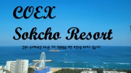 코엑스운수