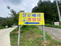 블루베리캠핑장