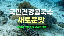부흥국수 해방촌국수