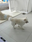 꾸미댕