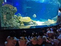 키즈맘어린이집