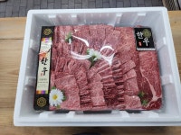 현대한우
