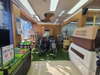 이츠펫 본점