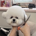 코코넨네펫미용샵