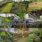 더힐링식물원 야영장