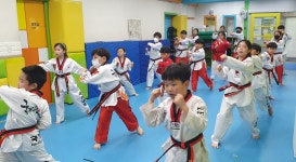 국가대표태권도