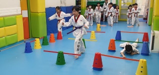 국가대표태권도